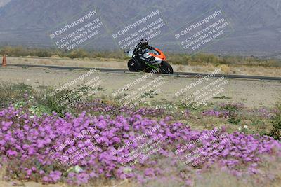 media/Feb-04-2023-SoCal Trackdays (Sat) [[8a776bf2c3]]/Turn 15 Inside Blooming (1050am)/